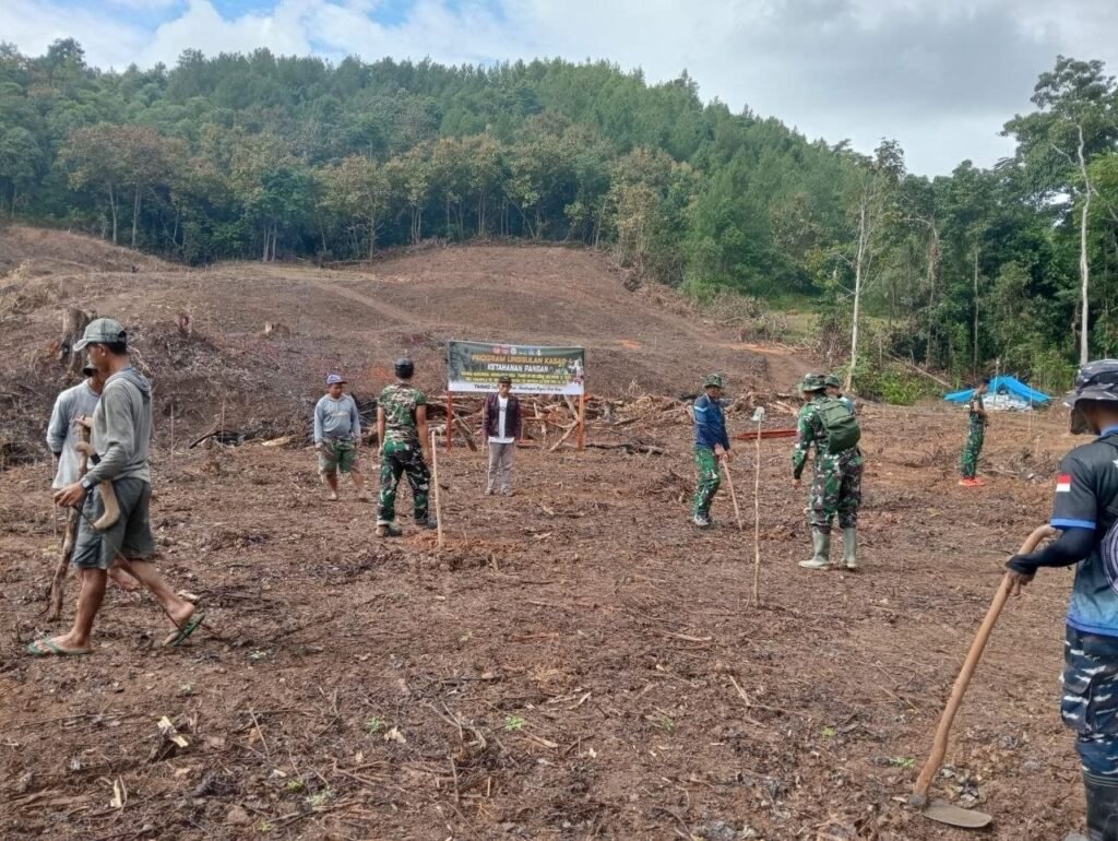 Lubang-Lubang di Dusun Batulappa Menjadi Awal Penghijauan Alpukat di Desa Langi