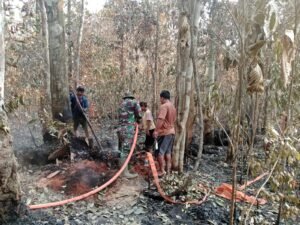 Petugas Gabungan Tumpas Titik Api di Teluk Mutiara