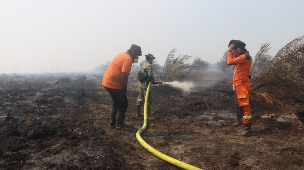 Babinsa dan Tim Gabungan Lakukan Pendinginan Lokasi Karhutla di Sungai Pelang
