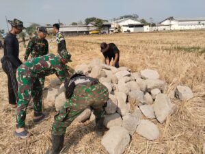Gotong Royong Angkut Batu: Upaya Bersama Satgas TMMD dan Warga Parangjoro Lindungi Lahan