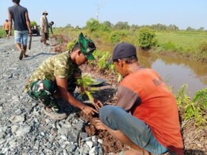 Bibit Pohon Dipilih Jadi Fallback Hijau di Proyek Jalan Tamban Bangun