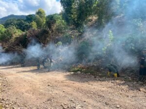 TMMD ke-129: Pembersihan Vegetasi Sebelum Perbaikan Jalan di Bontocani