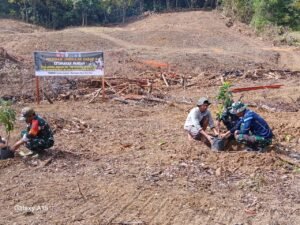 Penanaman Bibit Alpukat di Batulappa Jadi Bagian Sasaran Nonfisik TMMD